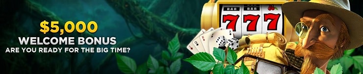 Wild Casino $5,000 Welcome Bonus